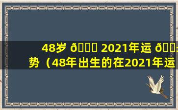 48岁 🐎 2021年运 🐱 势（48年出生的在2021年运气）